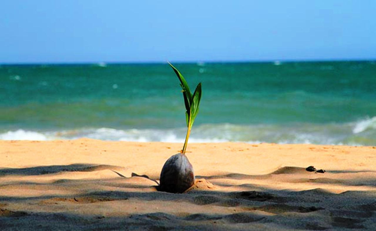 Chill Space Negombo Exterior foto
